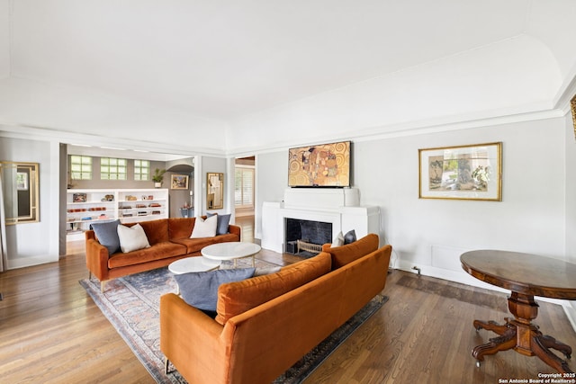 133 E Mistletoe Ave, San Antonio, TX 78212 - living area featuring a fireplace and wood finished floors