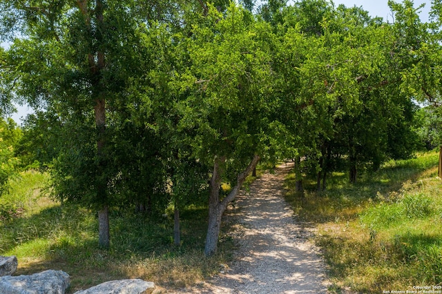 9354 Luke Path, San Antonio, TX 78254 - view of local wilderness