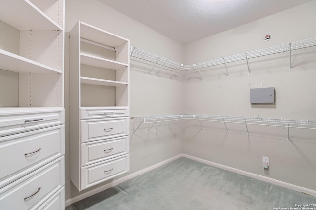 34 Roseheart, San Antonio, TX 78259 - spacious closet featuring light carpet
