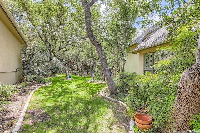 34 Roseheart, San Antonio, TX 78259 - view of grassy yard