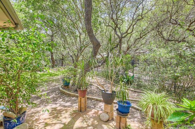 34 Roseheart, San Antonio, TX 78259 - view of yard with a patio