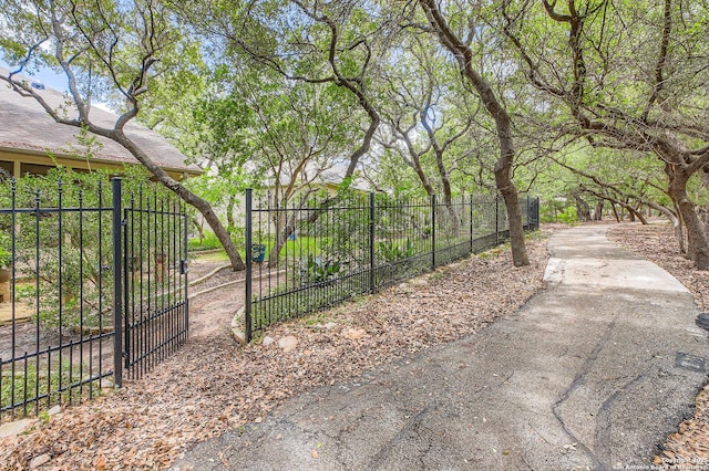34 Roseheart, San Antonio, TX 78259 - view of yard with a gate and driveway