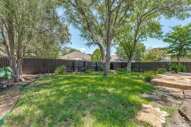 3316 Fresno, Schertz, TX 78154 - view of fenced backyard