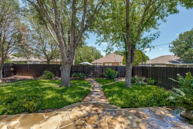 3316 Fresno, Schertz, TX 78154 - view of fenced backyard