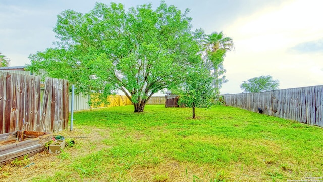 103 Weese, Pleasanton, TX 78064 - view of fenced backyard