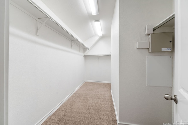 14724 Costa Leon, San Antonio, TX 78245 - spacious closet featuring carpet floors