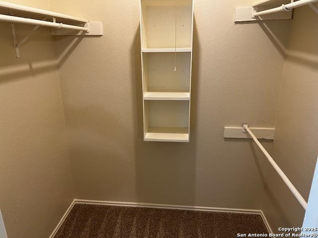9351 Dover Rdg, San Antonio, TX 78250 - walk in closet with carpet floors