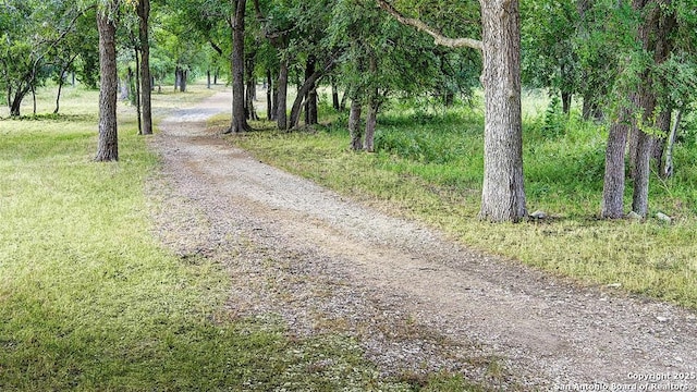 12640 Cotorra Spgs, San Antonio, TX 78254 - view of dirt / gravel road
