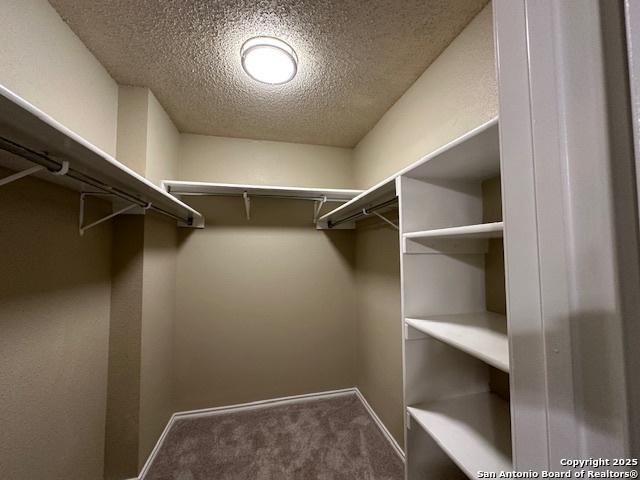 16454 Blanco Ky, San Antonio, TX 78247 - walk in closet with carpet floors