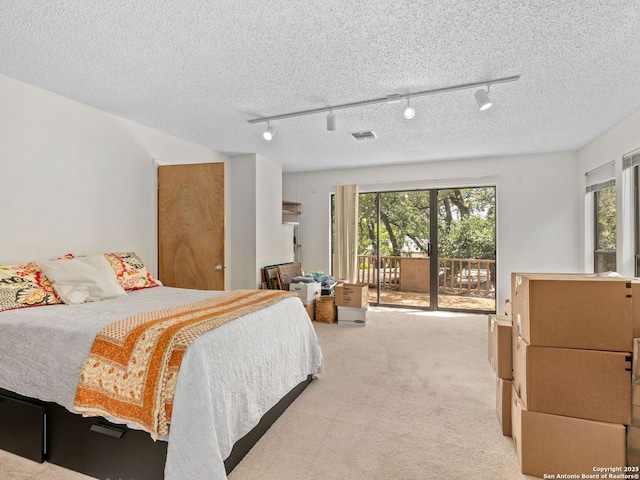 9715 Laurel Oaks, San Antonio, TX 78240 - bedroom featuring rail lighting, access to exterior, carpet floors, multiple windows, and a textured ceiling