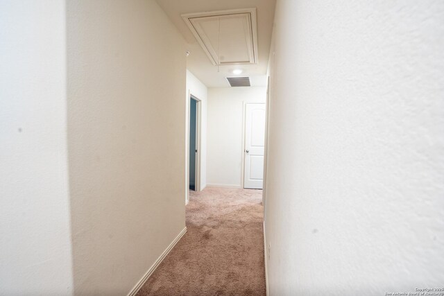 7335 Sharma Vly, San Antonio, TX 78252 - hallway with attic access and light carpet