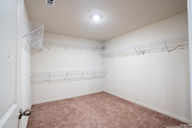 7335 Sharma Vly, San Antonio, TX 78252 - spacious closet featuring carpet floors