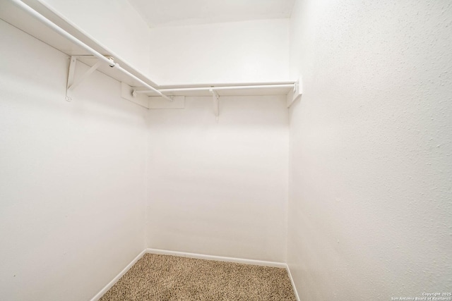 6914 Ludgate, San Antonio, TX 78239 - spacious closet featuring carpet floors