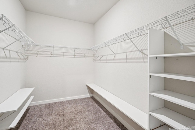 11518 Biddle, San Antonio, TX 78253 - spacious closet with carpet flooring