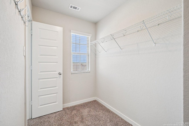11518 Biddle, San Antonio, TX 78253 - walk in closet featuring carpet flooring