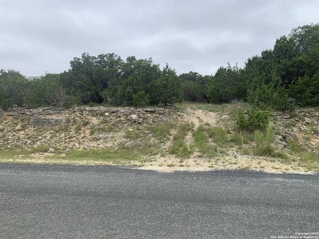 457 Thoroughbred, Spring Branch, TX 78070