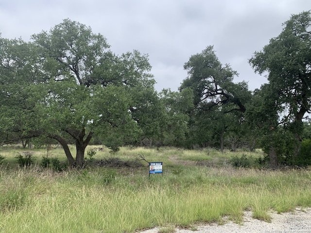 191 Indian Blanket, Spring Branch, TX 78070