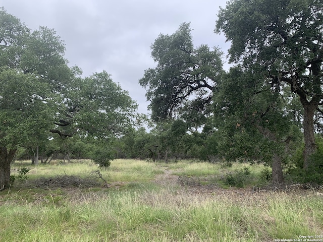 191 Indian Blanket, Spring Branch, TX 78070