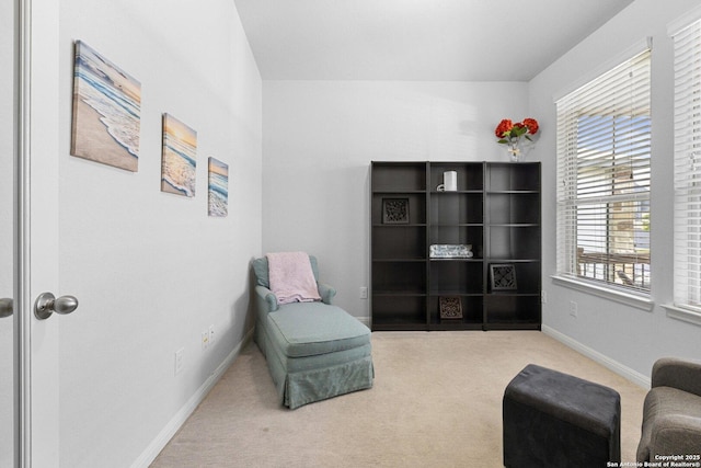 11631 Troubadour, San Antonio, TX 78245 - sitting room with carpet flooring and plenty of natural light