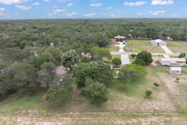 173 Great Oaks Ln, Vernia, TX 78121 - bird's eye view of a forest