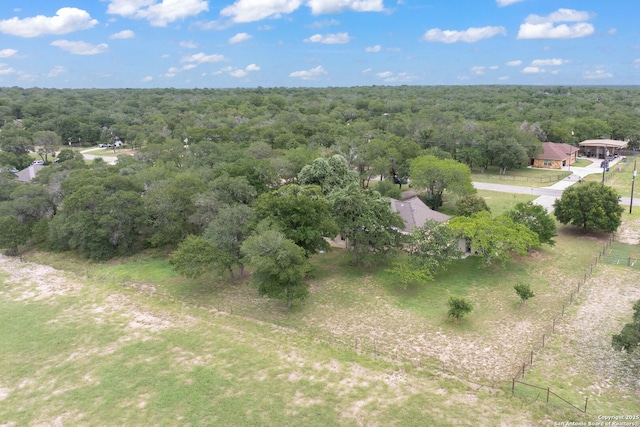 173 Great Oaks Ln, Vernia, TX 78121 - bird's eye view of a heavily wooded area