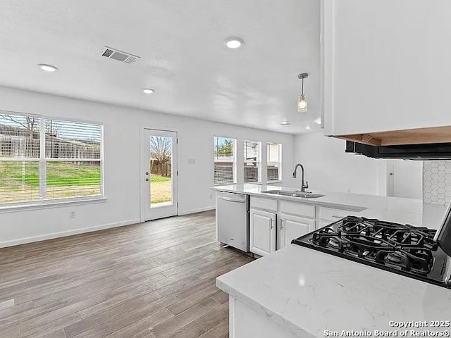 221 Peppergrass Cv, Kyle, TX 78640 - kitchen with dishwasher, light wood-style floors, a peninsula, recessed lighting, and white cabinets