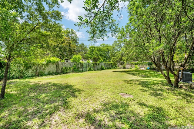 250 Maplewood, San Antonio, TX 78216 - view of yard