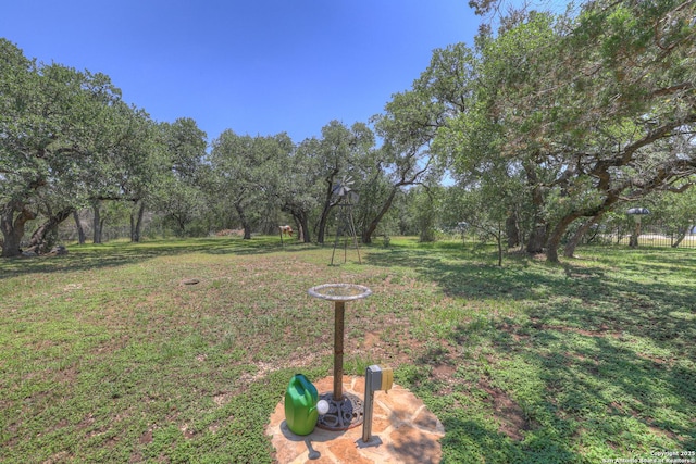 577 River Chase, New Braunfels, TX 78132 - view of grassy yard