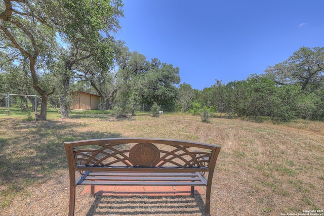 577 River Chase, New Braunfels, TX 78132 - view of green lawn