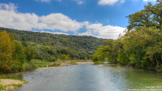 577 River Chase, New Braunfels, TX 78132 - water view featuring a forest
