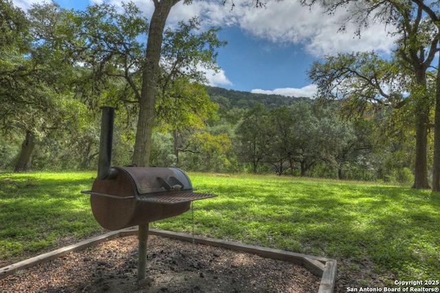 577 River Chase, New Braunfels, TX 78132 - view of grassy yard with a wooded view