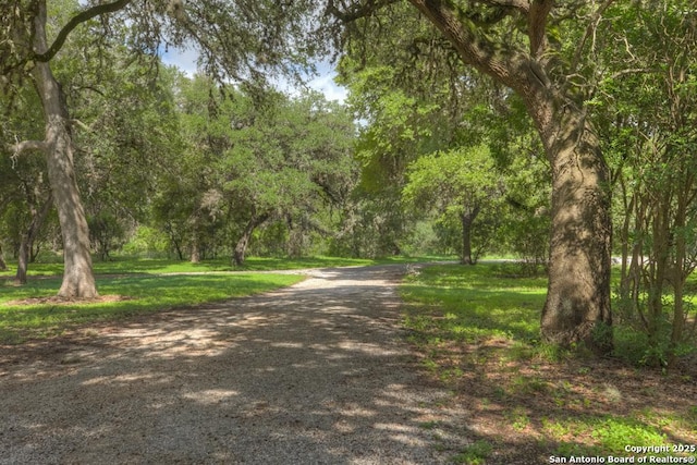 577 River Chase, New Braunfels, TX 78132 - view of road with a wooded view
