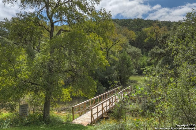 577 River Chase, New Braunfels, TX 78132 - view of property's community featuring a view of trees