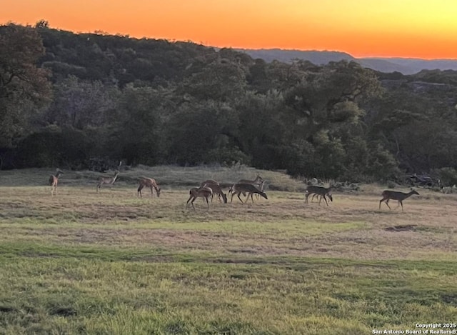 611 Wild Turkey, New Braunfels, TX 78132 - view of mountain background featuring rural landscape