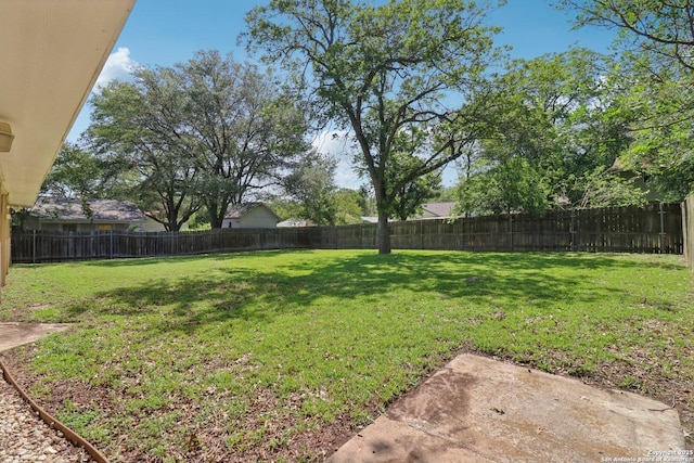 1710 Searcy, San Antonio, TX 78232 - view of fenced backyard
