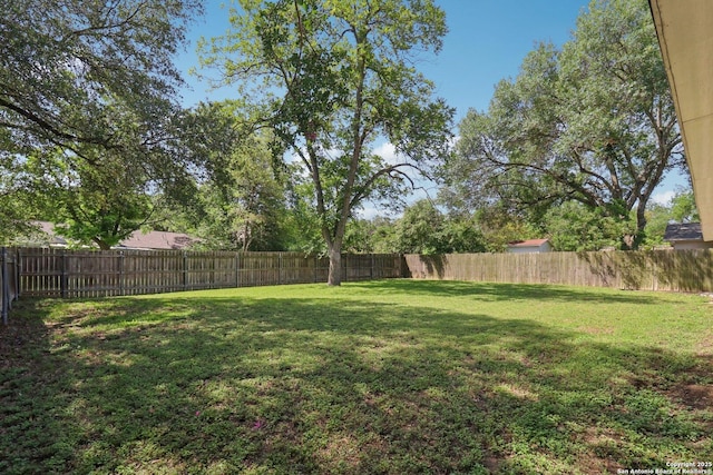1710 Searcy, San Antonio, TX 78232 - view of fenced backyard