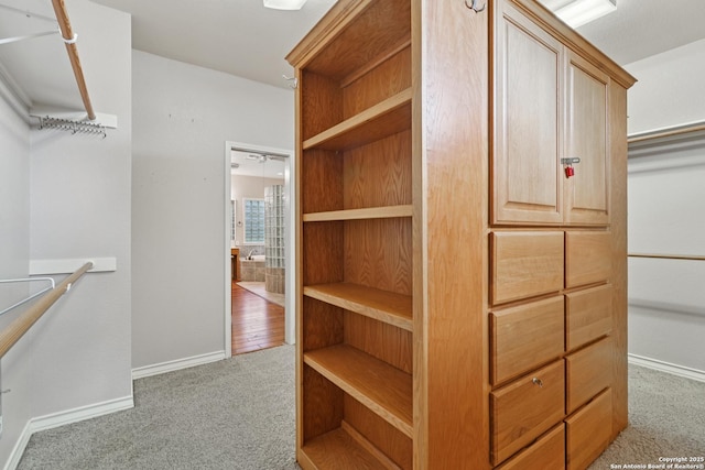 127 Sunflower Ln, San Antonio, TX 78213 - walk in closet featuring carpet flooring
