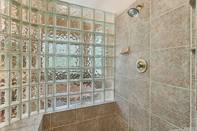 127 Sunflower Ln, San Antonio, TX 78213 - full bathroom with tiled shower