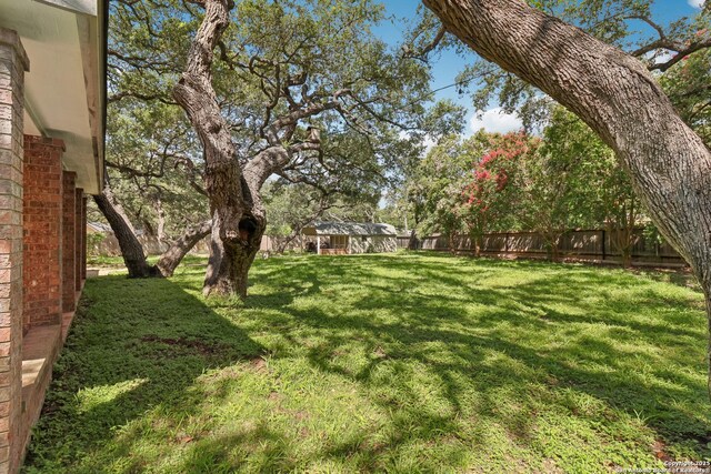 127 Sunflower Ln, San Antonio, TX 78213 - view of yard