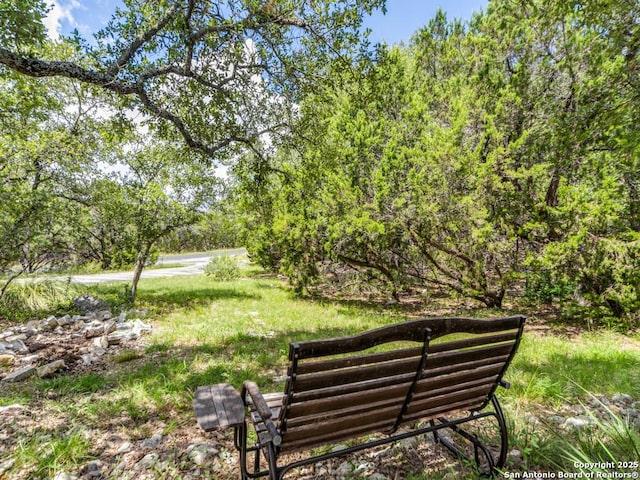 2521 Bay Hl, Bulverde, TX 78163 - view of community