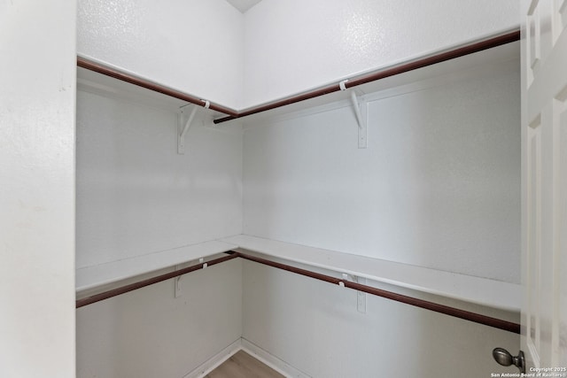 153 Bison Ln, Cibolo, TX 78108 - view of walk in closet