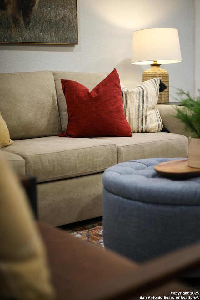 559 W Nacogdoches St, New Braunfels, TX 78130 - view of living area