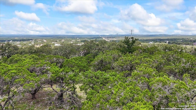 697 Travis Frst, Bulverde, TX 78163