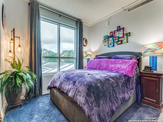 1 Towers Park Unit 211, San Antonio, TX 78209 - carpeted bedroom with multiple windows and a textured ceiling