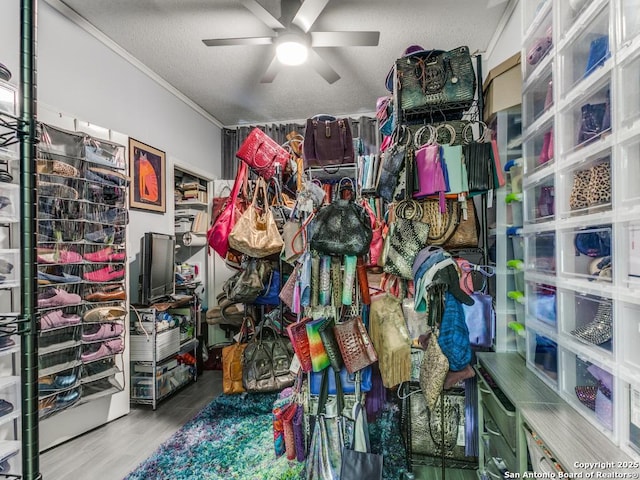 1 Towers Park Unit 211, San Antonio, TX 78209 - storage featuring a ceiling fan