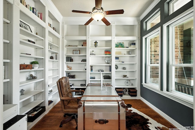1162 Thunder Cloud, Spring Branch, TX 78070 - office space featuring ceiling fan, dark wood-type flooring, and crown molding