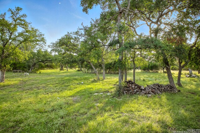 1162 Thunder Cloud, Spring Branch, TX 78070 - view of yard