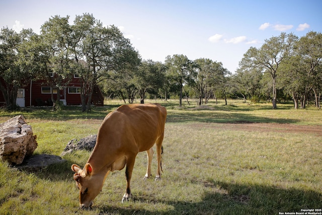1162 Thunder Cloud, Spring Branch, TX 78070 - exterior view