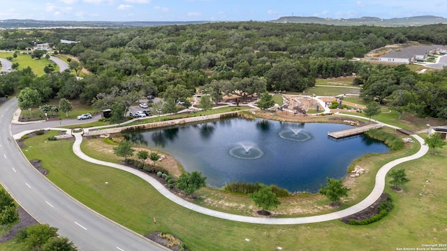 6041 Vestige Bnd, Bulverde, TX 78163 - aerial overview of property's location featuring a forest and a large body of water
