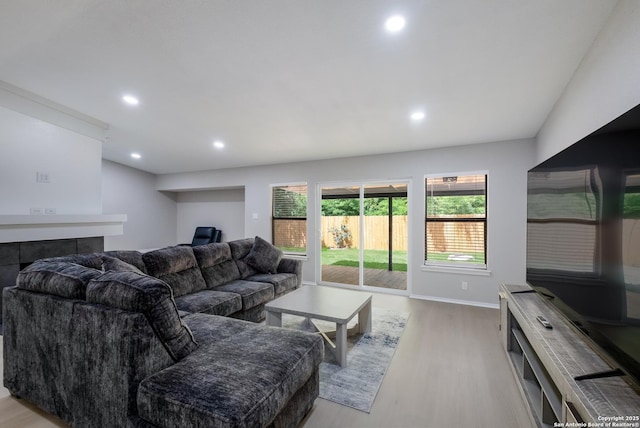 16738 Stoney Glade, San Antonio, TX 78247 - living room featuring light wood-style floors and recessed lighting